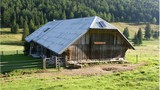 Planina DOL je kriie med Veliko planino, Planino Konj, Konjico in Kamniko Bistrico