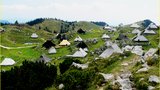 Bela in zelena podoba pastirskega naselja. Beli pripadajo bajtariji, zeleni pastirji, turisti pa obema.