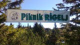 Tradicionalni piknik RD Rigelj